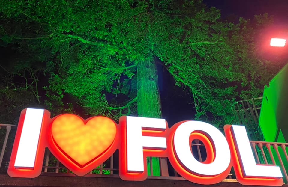 Festival of Lights Access & Inclusion Vehicle Tour Evening